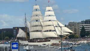 Lees meer over het artikel Intocht Sail, een indrukwekkend schouwspel