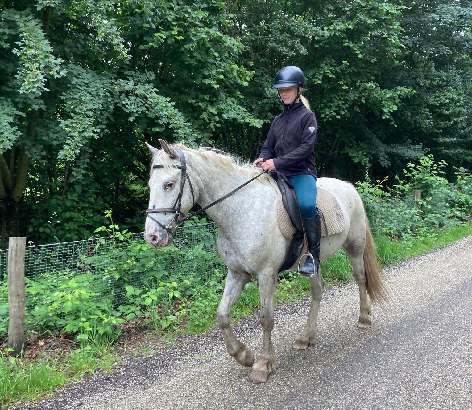 Je bekijkt nu Bij een boerderij hoort ook een paard!
